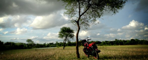 Alone In Wilderness